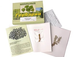 Гербарий "Водоросли. Грибы. Лишайники" (раздаточный) - fgospostavki.ru - Каменск-Уральский