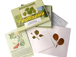 Гербарий "Систематика растений. Семейство Розоцветные" (раздаточный) - fgospostavki.ru - Каменск-Уральский