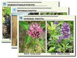 Гербарий фотографический "Сельскохозяйственные растения России" - fgospostavki.ru - Каменск-Уральский