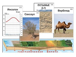 Модель-аппликация "Природные зоны" - fgospostavki.ru - Каменск-Уральский