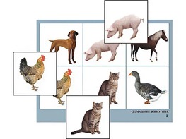 Логопедическое лото "Домашние животные" (4 планшета, 24 карточки, цветное, ламинированное) - fgospostavki.ru - Каменск-Уральский