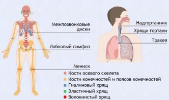 Интерактивные курсы. Биология 9 класс. Базовый. - fgospostavki.ru - Каменск-Уральский