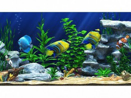 Интерактивный аттракционный комплекс "Водный мир" - fgospostavki.ru - Каменск-Уральский