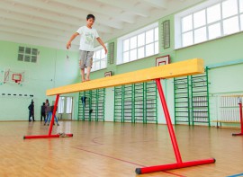 Бревно гимнастическое напольное постоянной высоты (700 мм) (5 м) - fgospostavki.ru - Каменск-Уральский