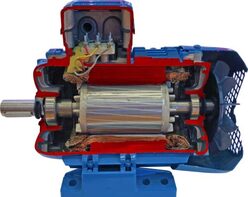 Учебная модель «Электродвигатель асинхронный в разрезе» - fgospostavki.ru - Каменск-Уральский