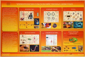 Электрифицированный стенд «Эпизоотология сельскохозяйственных животных» - fgospostavki.ru - Каменск-Уральский