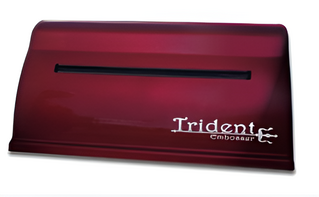 Принтер для печати рельефно-точечным шрифтом Брайля Trident - fgospostavki.ru - Каменск-Уральский