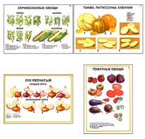 Плакаты ПРОФТЕХ "Ассортимент овощных культур" (12 пл, винил, 70х100) - fgospostavki.ru - Каменск-Уральский