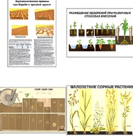 Плакаты ПРОФТЕХ "Агрономия" (5 пл, винил, 70х100) - fgospostavki.ru - Каменск-Уральский