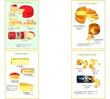 Плакаты ПРОФТЕХ "Ассортимент сыров" (9 пл, винил, 70х100) - fgospostavki.ru - Каменск-Уральский