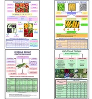 Плакаты ПРОФТЕХ "Классификация овощей" (11 пл, винил, 70х100) - fgospostavki.ru - Каменск-Уральский