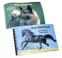 Пособие для слабовидящих - Домашние животные - fgospostavki.ru - Каменск-Уральский