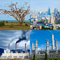 Модель-аппликация Биосфера и человек - fgospostavki.ru - Каменск-Уральский