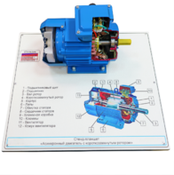 Стенд-планшет «Асинхронный двигатель с короткозамкнутым ротором» - fgospostavki.ru - Каменск-Уральский