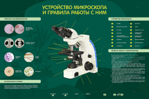 Электрифицированный стенд "Устройство микроскопа и правила работы c ним" - fgospostavki.ru - Каменск-Уральский