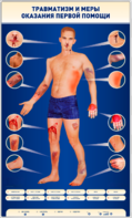 Электрифицированный стенд-тренажер "Травматизм и меры оказания первой помощи" - fgospostavki.ru - Каменск-Уральский