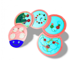 Тактильно-развивающая панель «Гусеница» - fgospostavki.ru - Каменск-Уральский