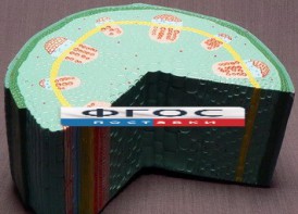 Модель "Стебель растения" - fgospostavki.ru - Каменск-Уральский